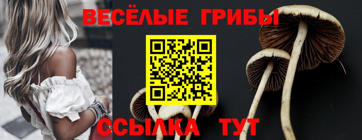 Псилоцибиновые грибы мухоморы  Вход с VPN  Галлюциногенные грибы ЛСД  Ростов Великий 