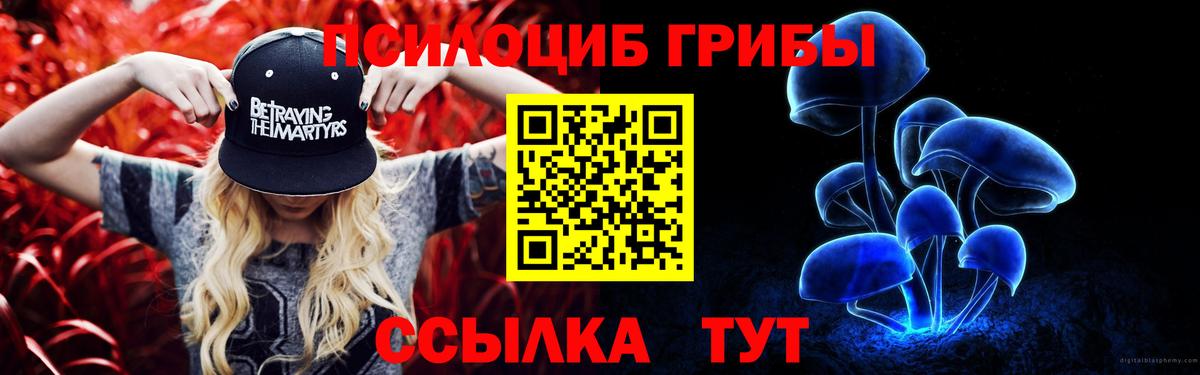 A-PVP Ростов Великий